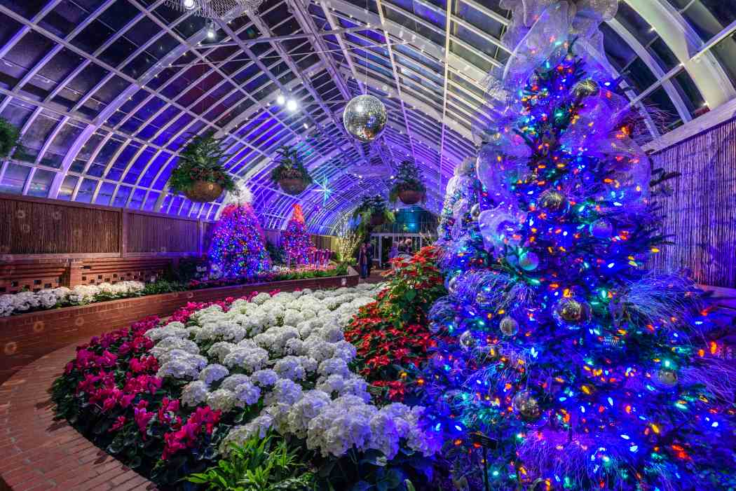 Winter Flower Show and Light Garden 2017: Holiday Magic! Winter Flower Show and Light Garden 2017: Holiday Magic!