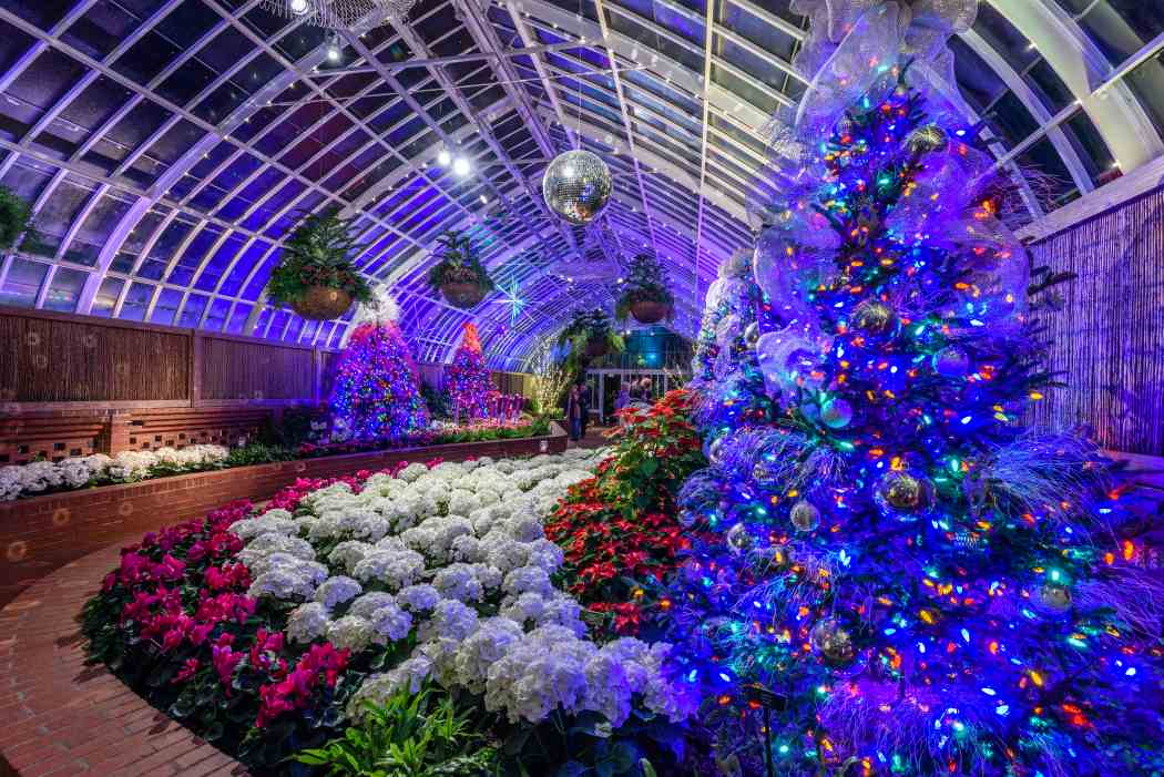 Winter Flower Show and Light Garden 2017: Holiday Magic!