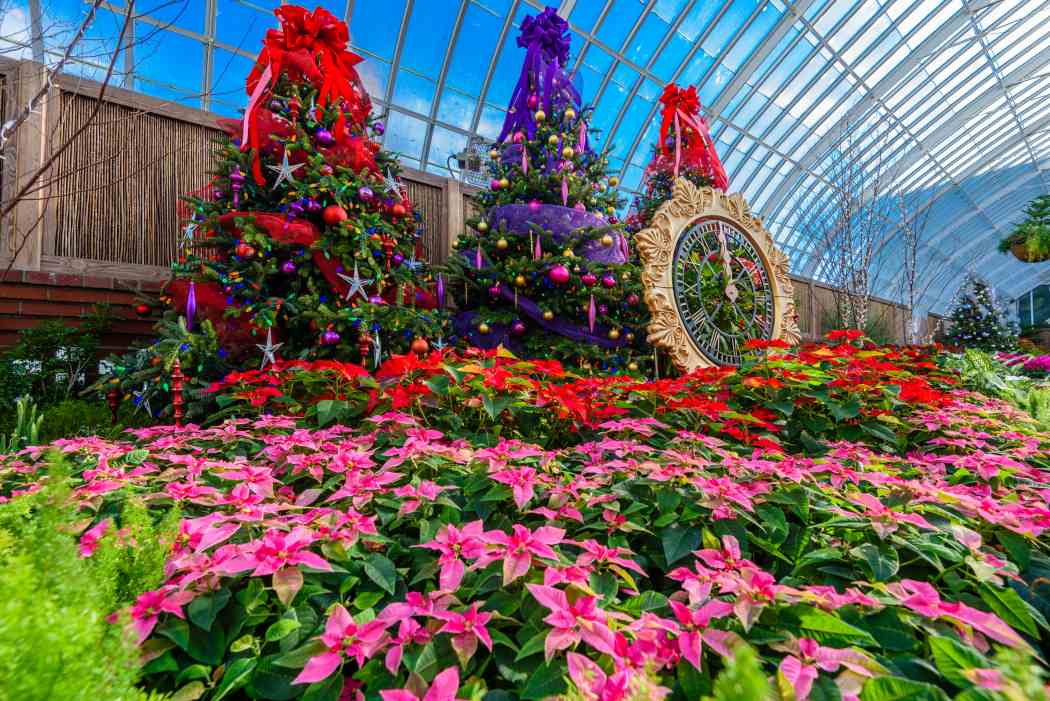 Winter Flower Show and Light Garden 2017: Holiday Magic! Winter Flower Show and Light Garden 2017: Holiday Magic!