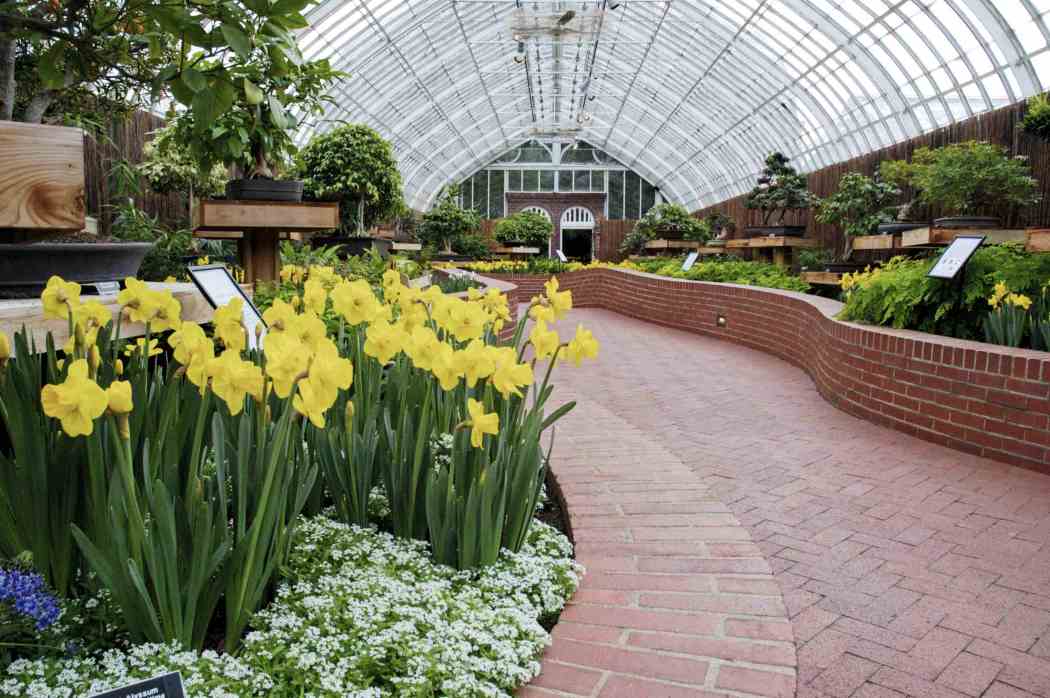 Spring Flower Show 2004: Splashes of Spring