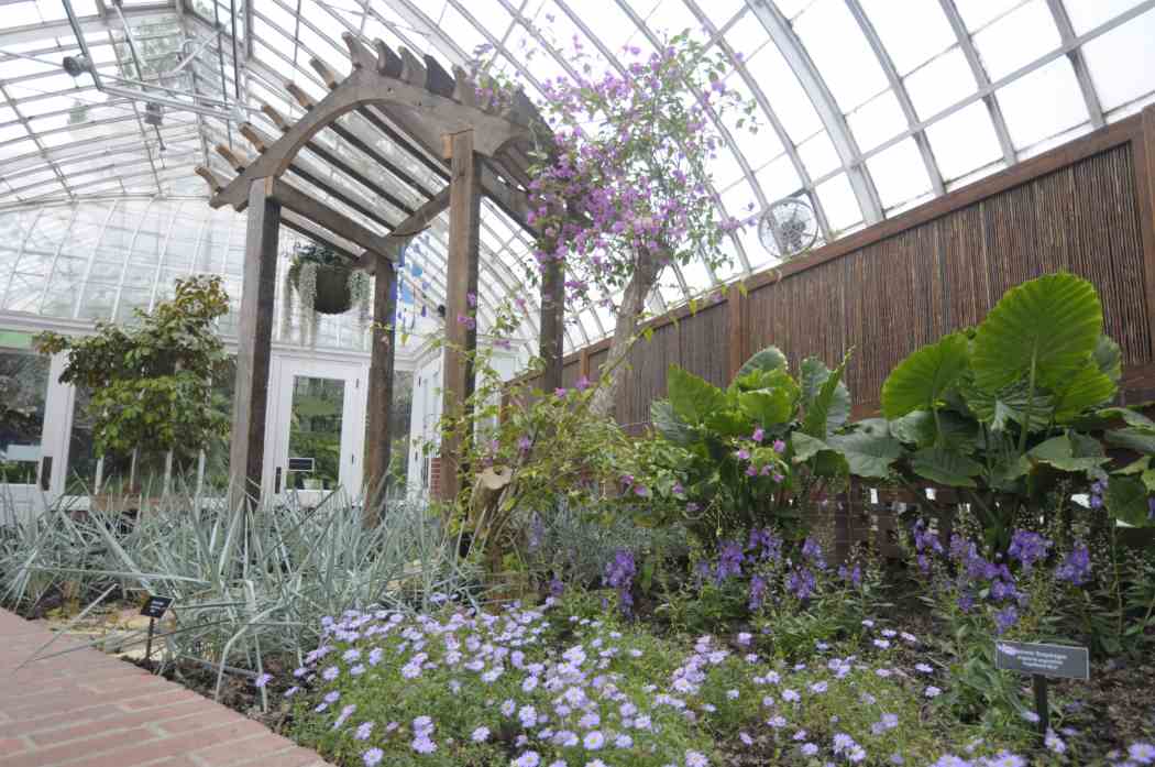 Summer Flower Show 2011: Living Harmoniously with Nature