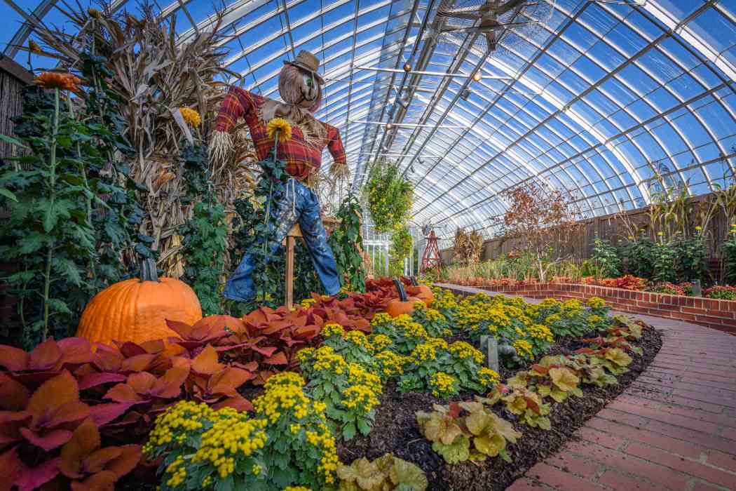 Fall Flower Show 2023: Hometown Harvest