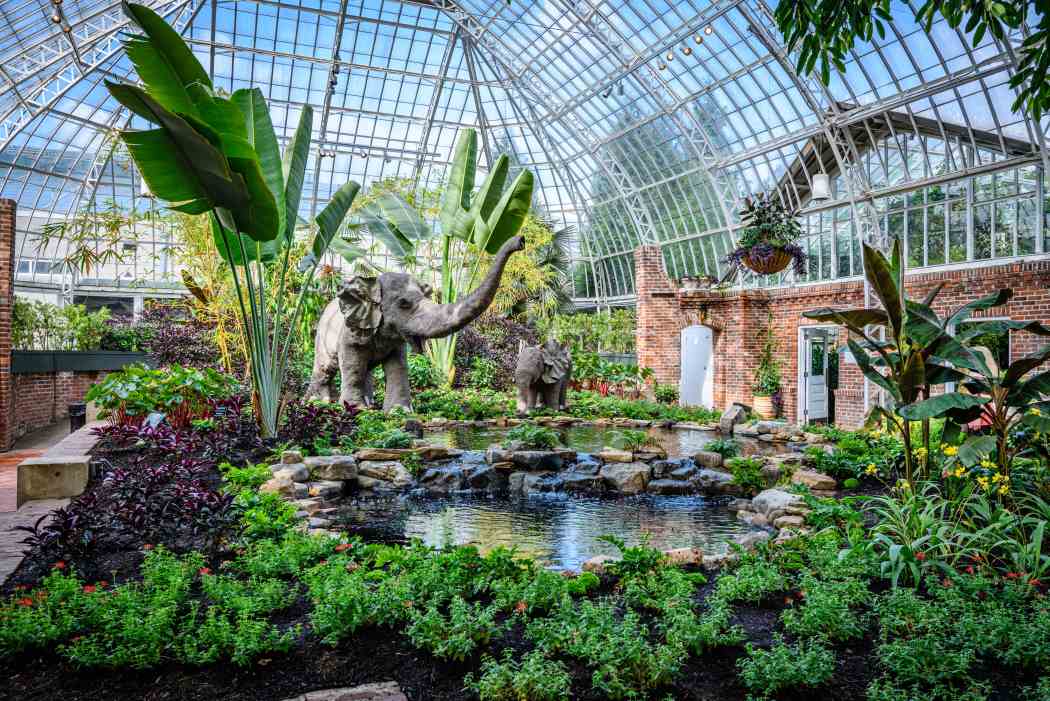Summer Flower Show 2025: Jungle Quest