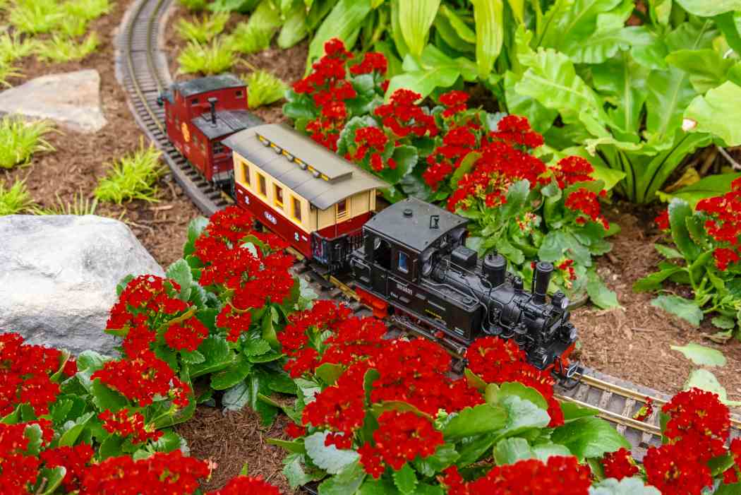 Winter Flower Show and Light Garden 2017: Holiday Magic! Winter Flower Show and Light Garden 2017: Holiday Magic!