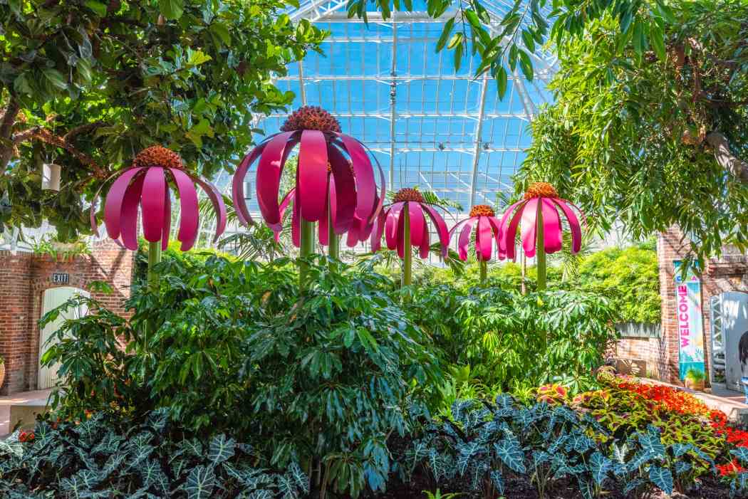 Summer Flower Show 2018: Gardens of Sound and Motion