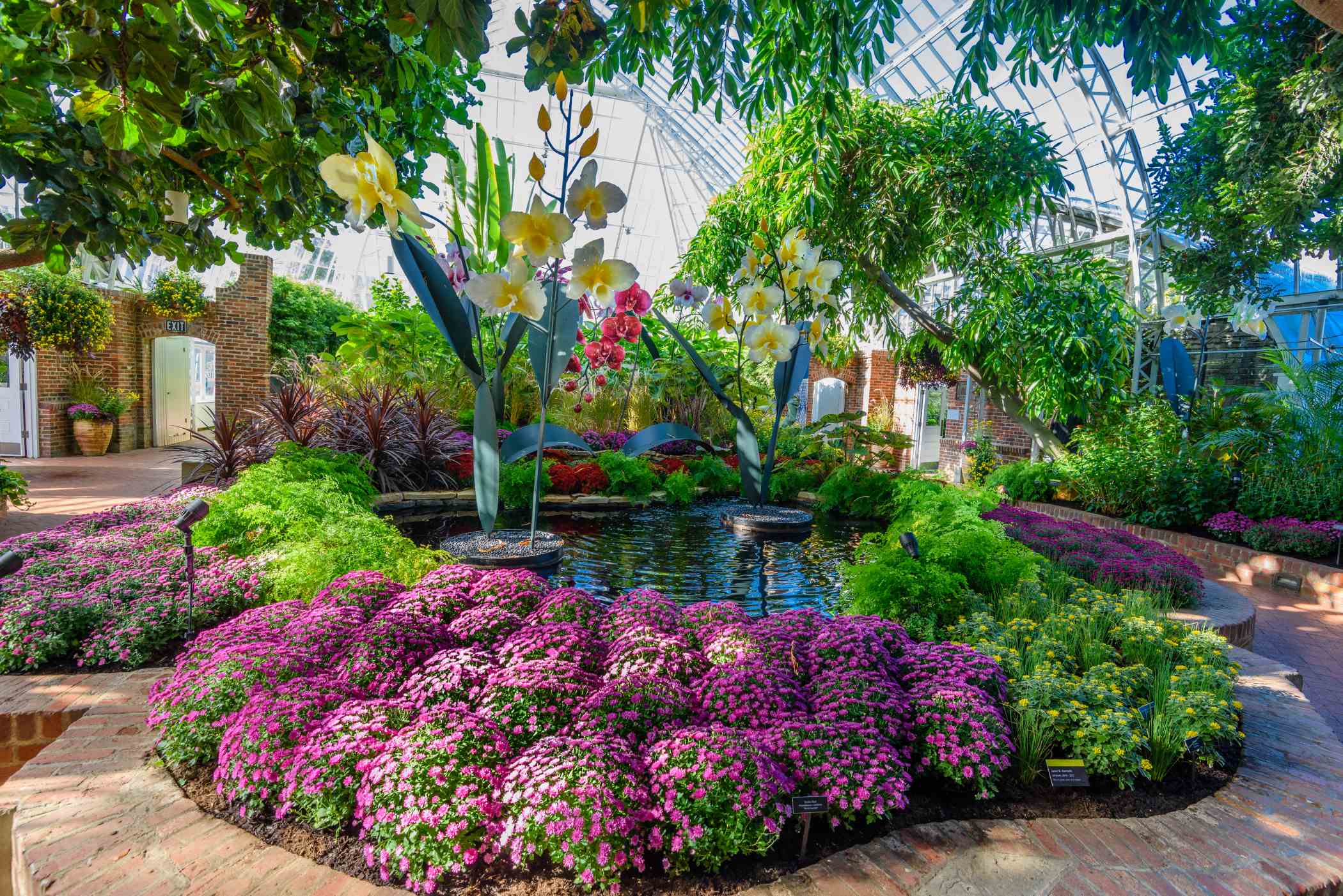 SUPER. NATURAL. Glass Art by Jason Gamrath | Phipps Conservatory