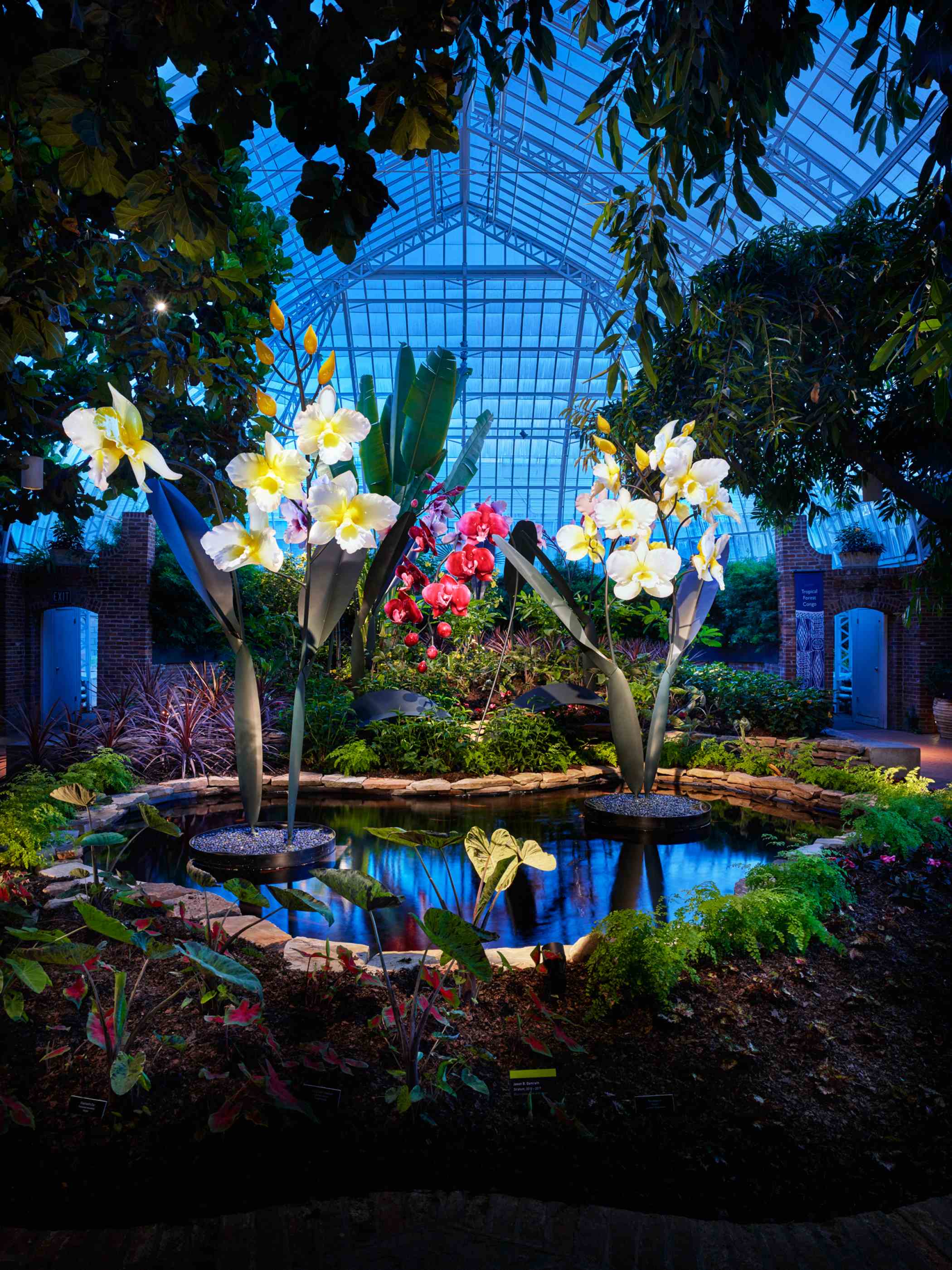 SUPER. NATURAL. Glass Art by Jason Gamrath | Phipps Conservatory