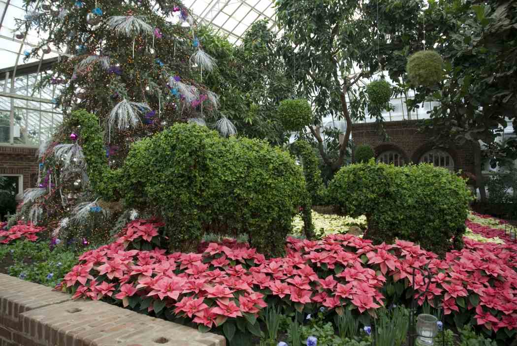 Winter Flower Show 2006: Shades of the Season