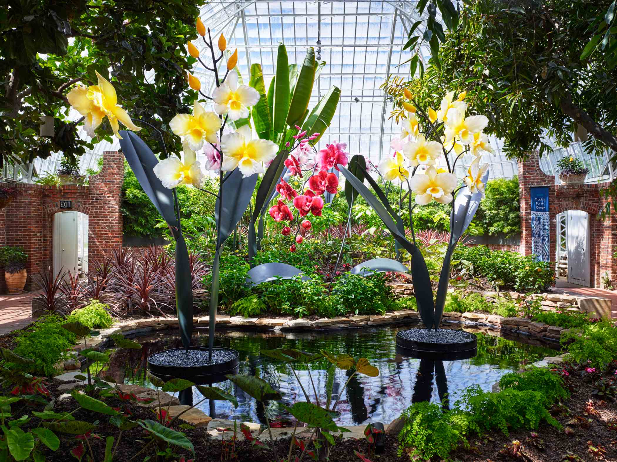 SUPER. NATURAL. Glass Art by Jason Gamrath | Phipps Conservatory