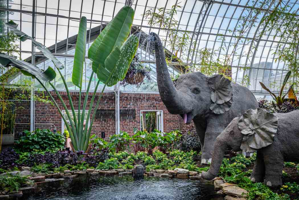 Summer Flower Show 2025: Jungle Quest