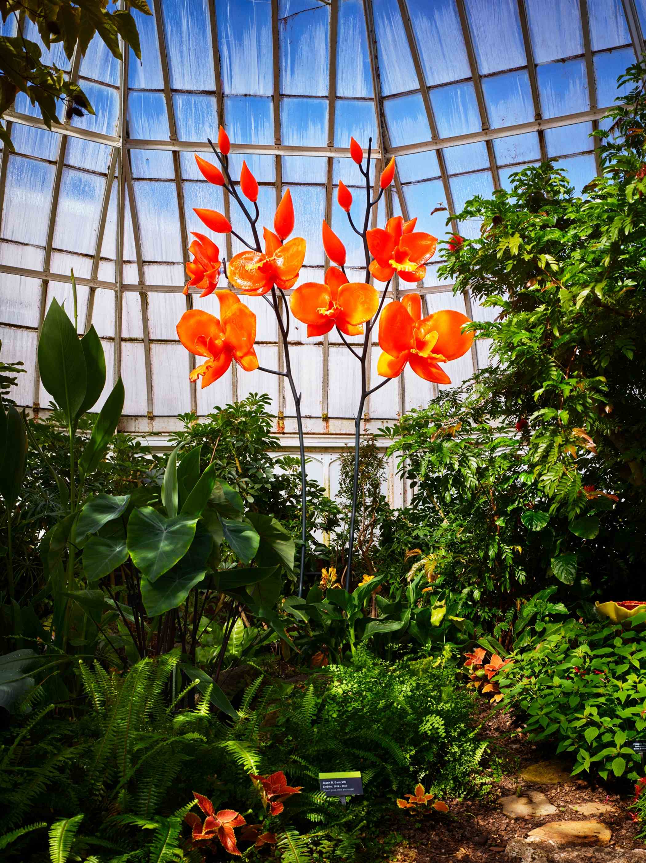 SUPER. NATURAL. Glass Art by Jason Gamrath | Phipps Conservatory