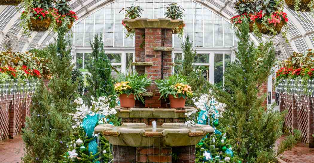 Winter Flower Show and Light Garden 2022: Holiday Magic! Arctic Adventure Winter Flower Show and Light Garden 2022: Holiday Magic! Arctic Adventure