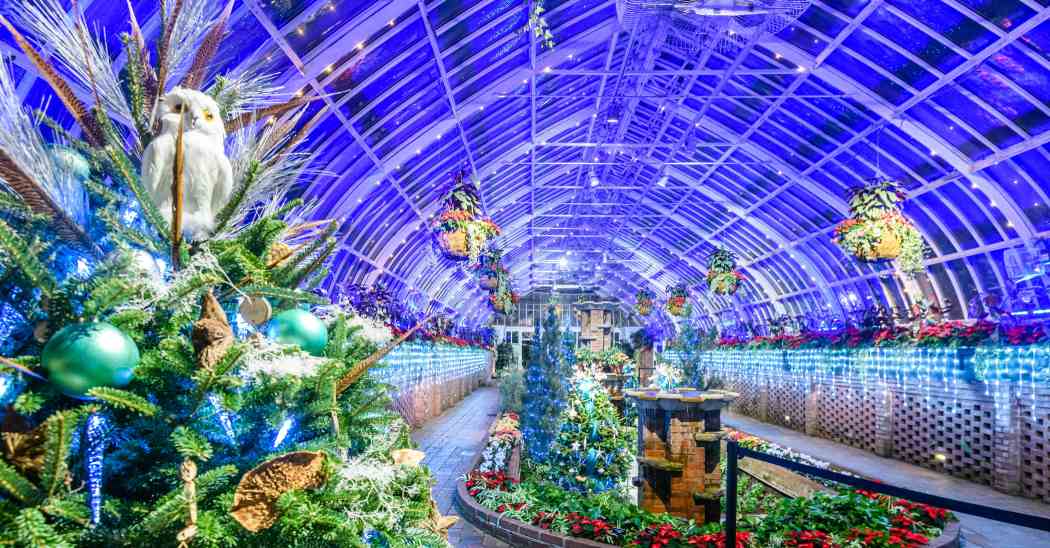Winter Flower Show and Light Garden 2022: Holiday Magic! Arctic Adventure