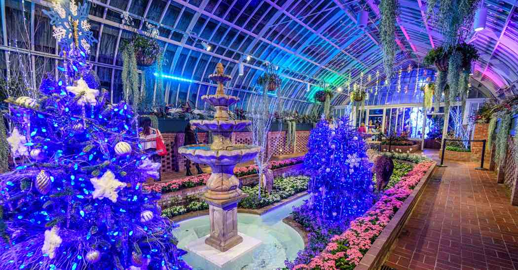 Winter Flower Show 2025: Phipps Holiday Magic