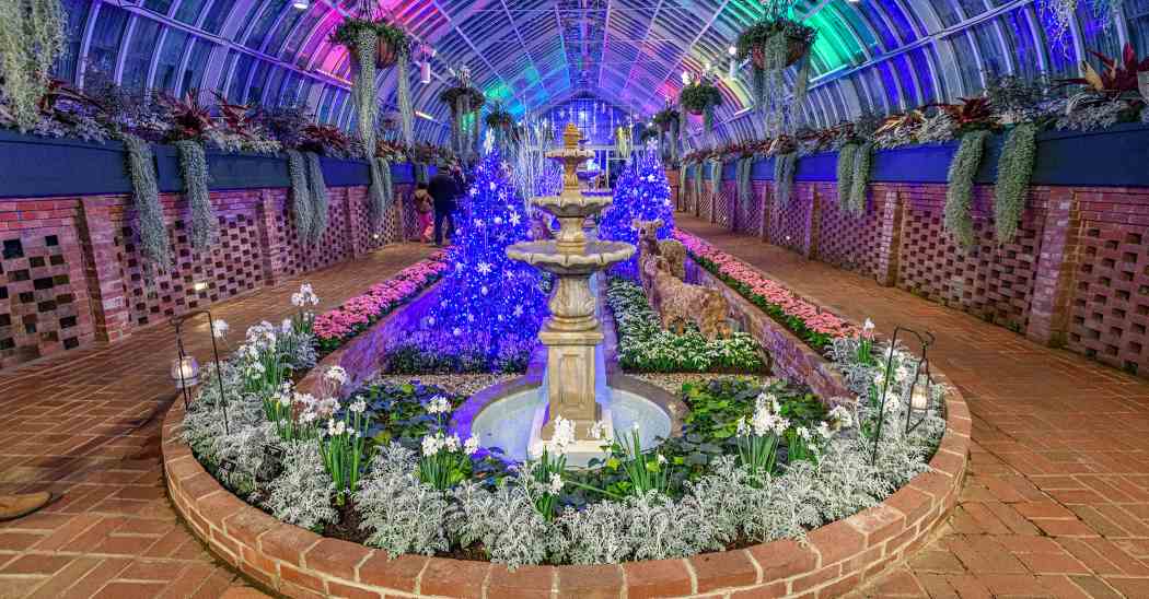 Winter Flower Show 2025: Phipps Holiday Magic