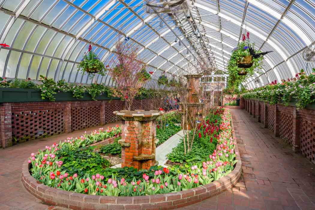 Spring Flower Show 2017: Enchanted Forest