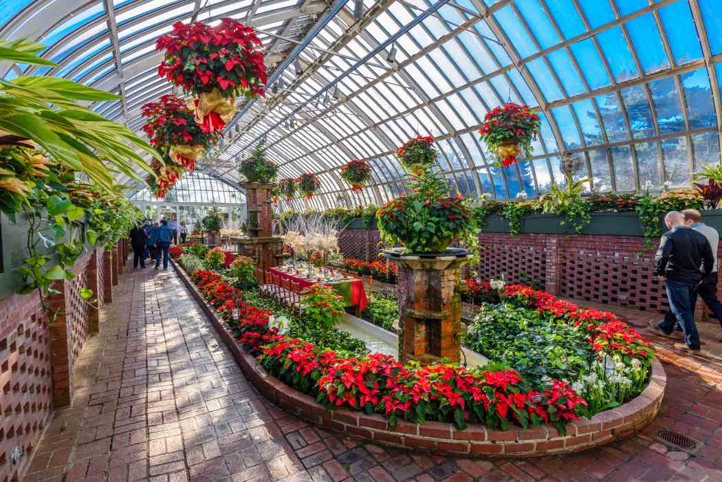 Winter Flower Show and Light Garden 2017: Holiday Magic! Winter Flower Show and Light Garden 2017: Holiday Magic!