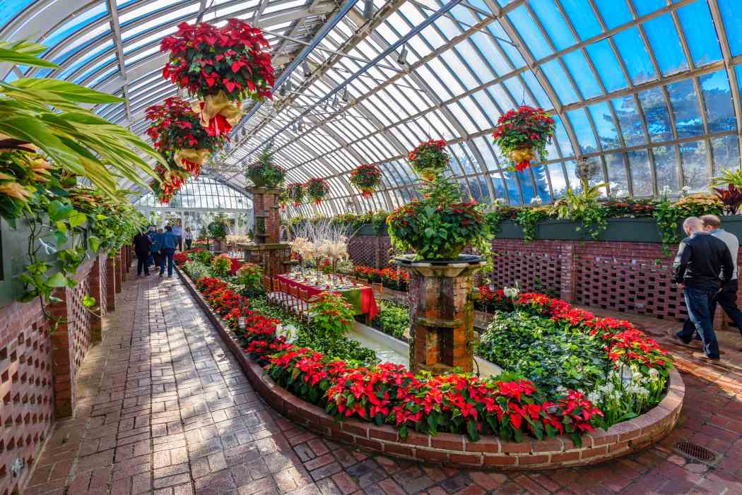 Winter Flower Show and Light Garden 2017: Holiday Magic!