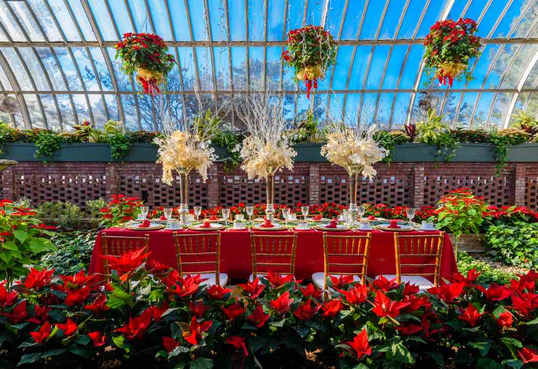 Winter Flower Show and Light Garden 2017: Holiday Magic! Winter Flower Show and Light Garden 2017: Holiday Magic!