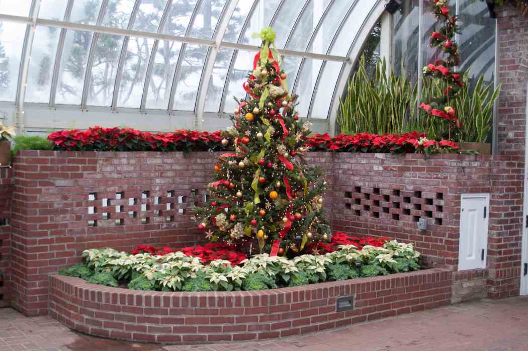 Winter Flower Show 2004: Nature’s Holiday