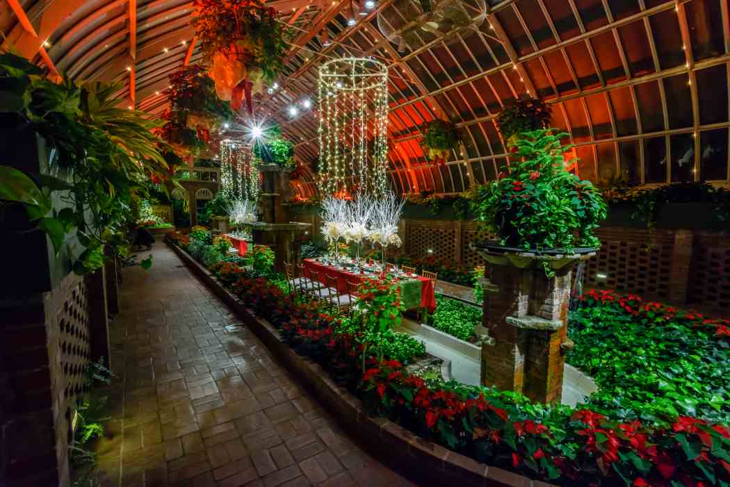 Winter Flower Show and Light Garden 2017: Holiday Magic!