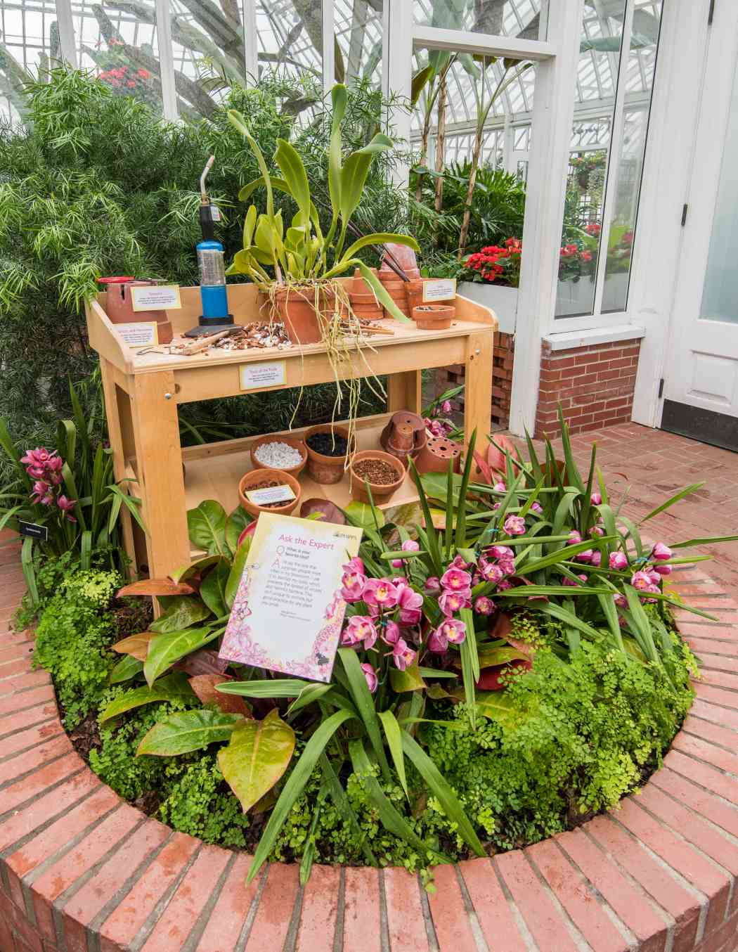 Orchid and Tropical Bonsai Show 2016