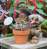 Fall Flower Show: Happy Troll‑O‑Ween! Fall Flower Show: Happy Troll‑O‑Ween!