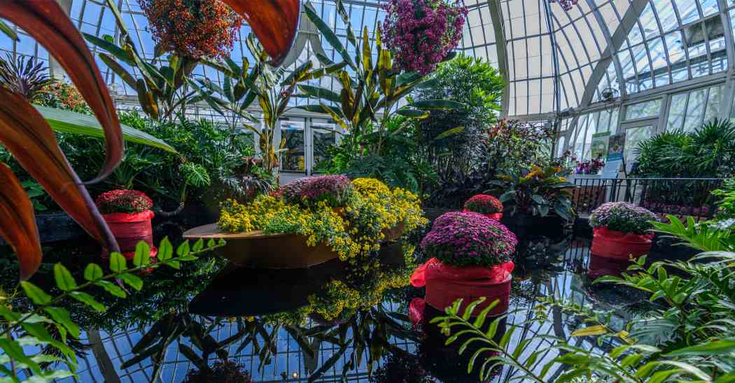 Fall Flower Show 2022: Blooms Under the Big Top