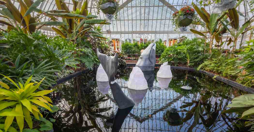 Winter Flower Show and Light Garden 2022: Holiday Magic! Arctic Adventure Winter Flower Show and Light Garden 2022: Holiday Magic! Arctic Adventure