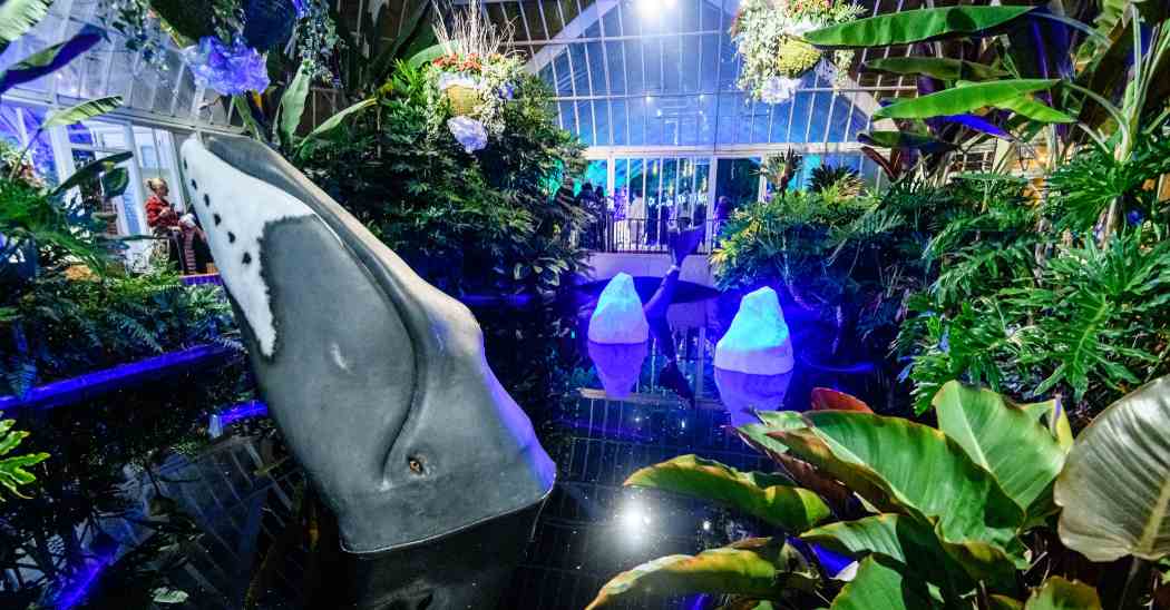 Winter Flower Show and Light Garden 2022: Holiday Magic! Arctic Adventure