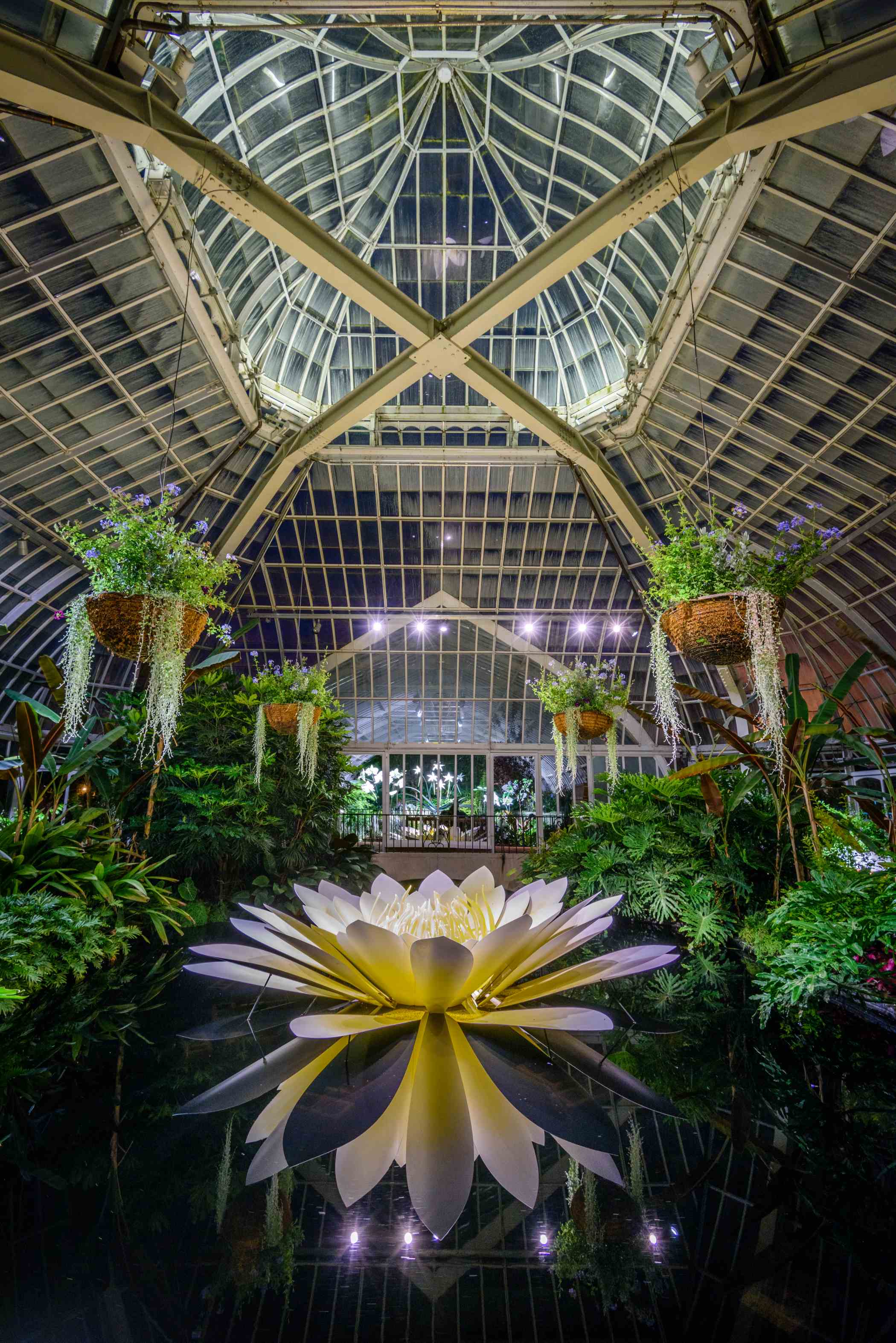 SUPER. NATURAL. Glass Art by Jason Gamrath | Phipps Conservatory
