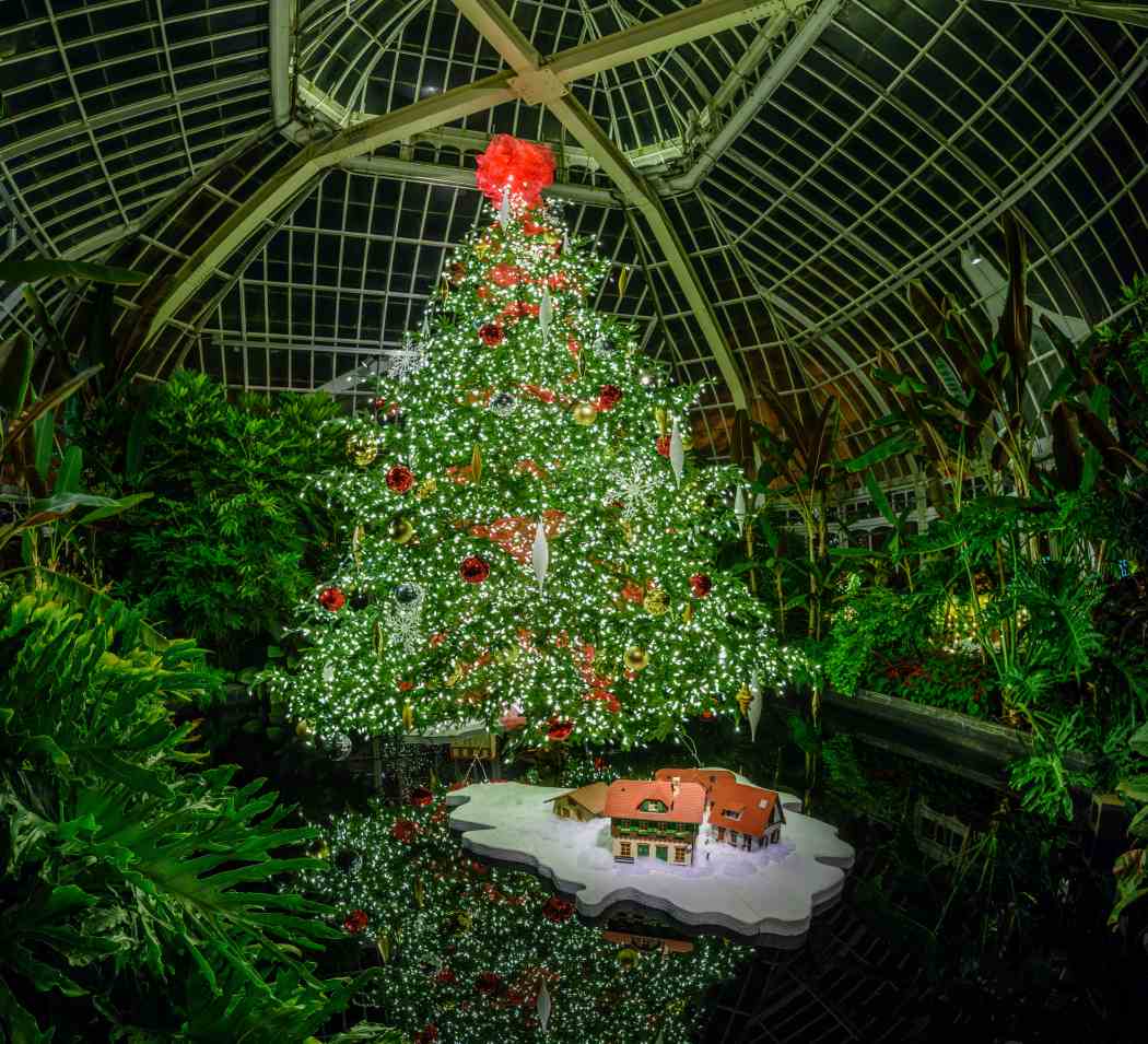 Winter Flower Show and Light Garden 2017: Holiday Magic! Winter Flower Show and Light Garden 2017: Holiday Magic!