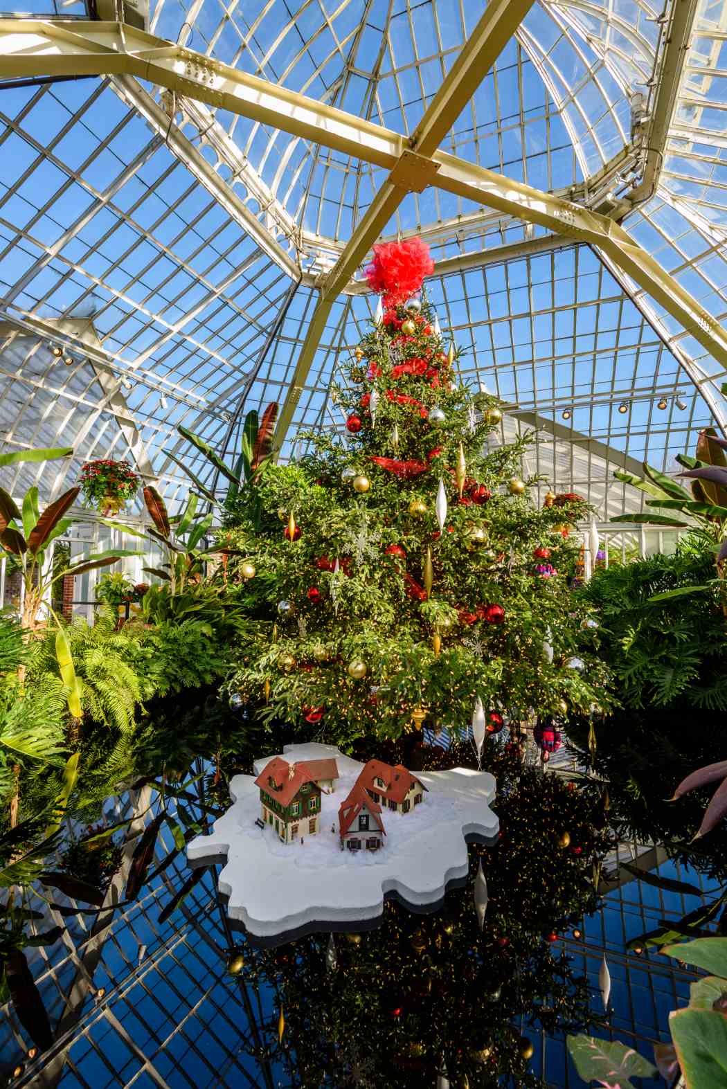 Winter Flower Show and Light Garden 2017: Holiday Magic! Winter Flower Show and Light Garden 2017: Holiday Magic!