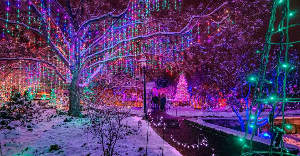 Winter Flower Show 2025: Phipps Holiday Magic