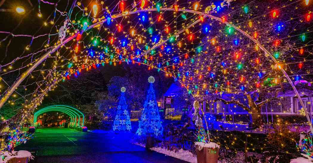 Winter Flower Show 2025: Phipps Holiday Magic