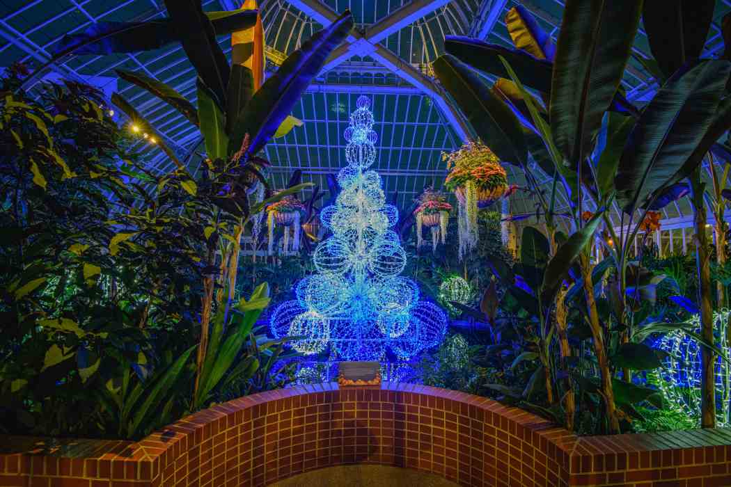 Winter Flower Show and Light Garden 2023: Holiday Magic! Season’s Greenings