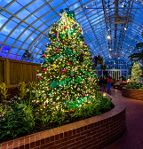 Holiday Magic! Winter Flower Show and Light Garden Holiday Magic! Winter Flower Show and Light Garden