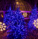 Phipps Holiday Magic
