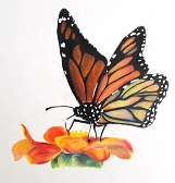 Beneficial Bugs: A Youth Art Exhibition Beneficial Bugs: A Youth Art Exhibition