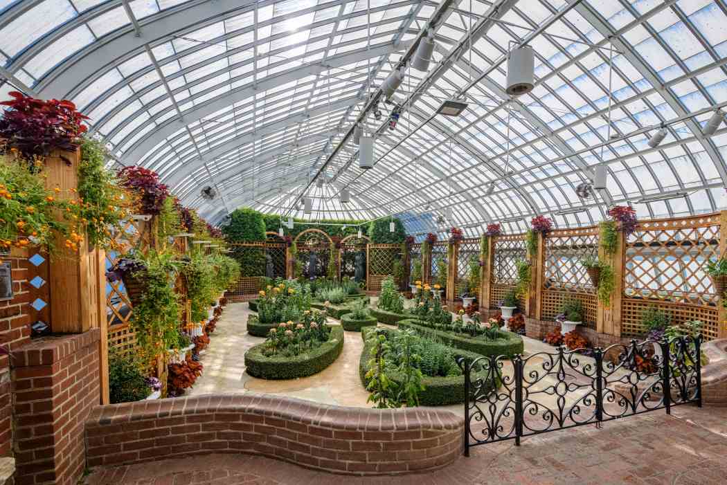 Fall Flower Show 2025: Visions of Japan