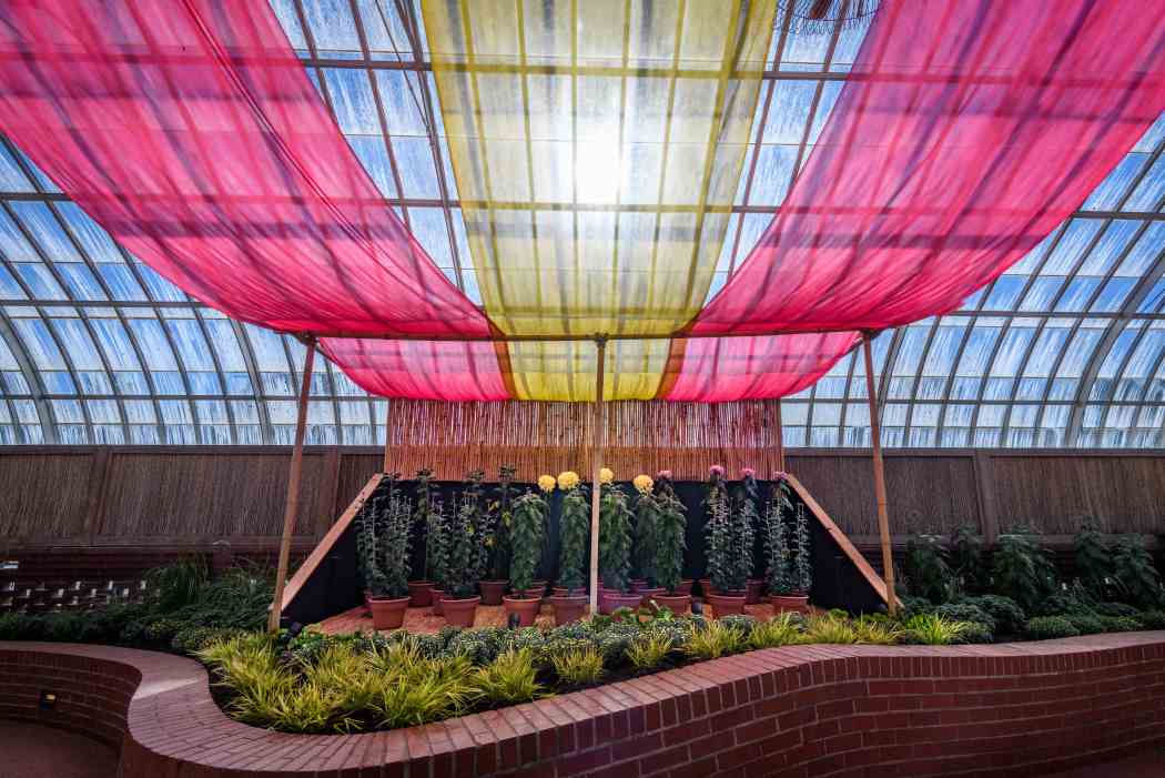 Fall Flower Show 2025: Visions of Japan