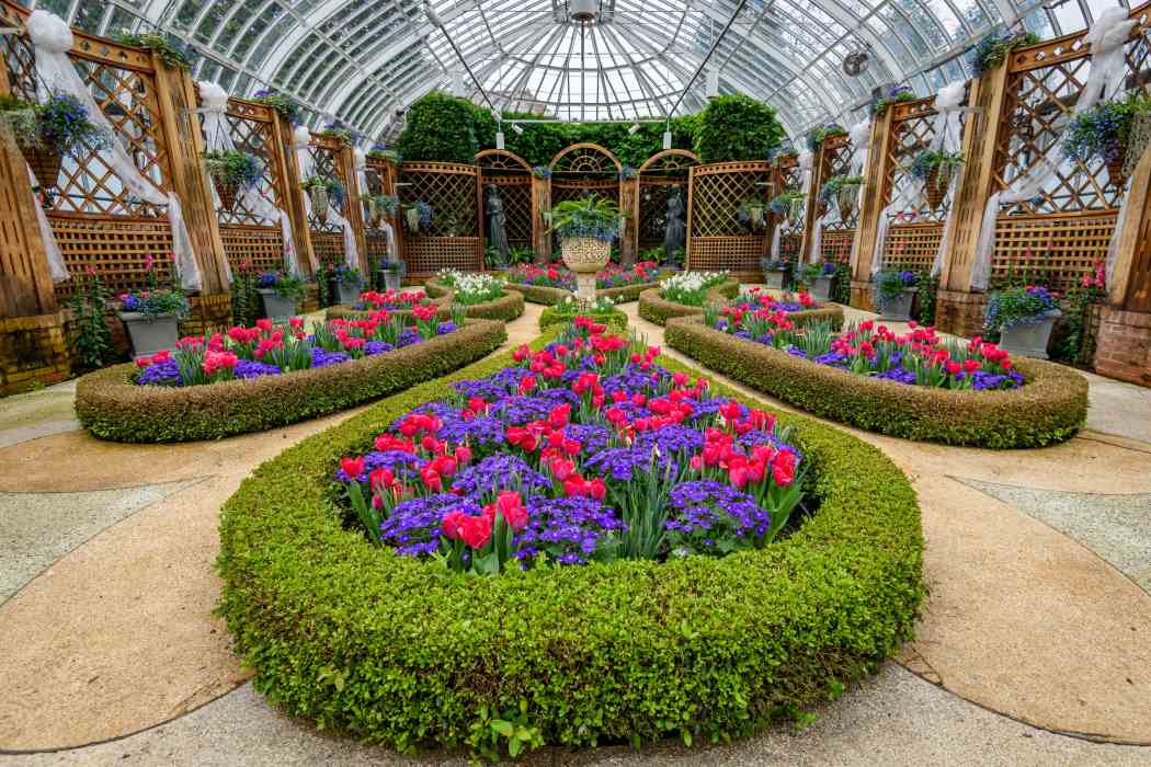 Spring Flower Show 2026: True Colors