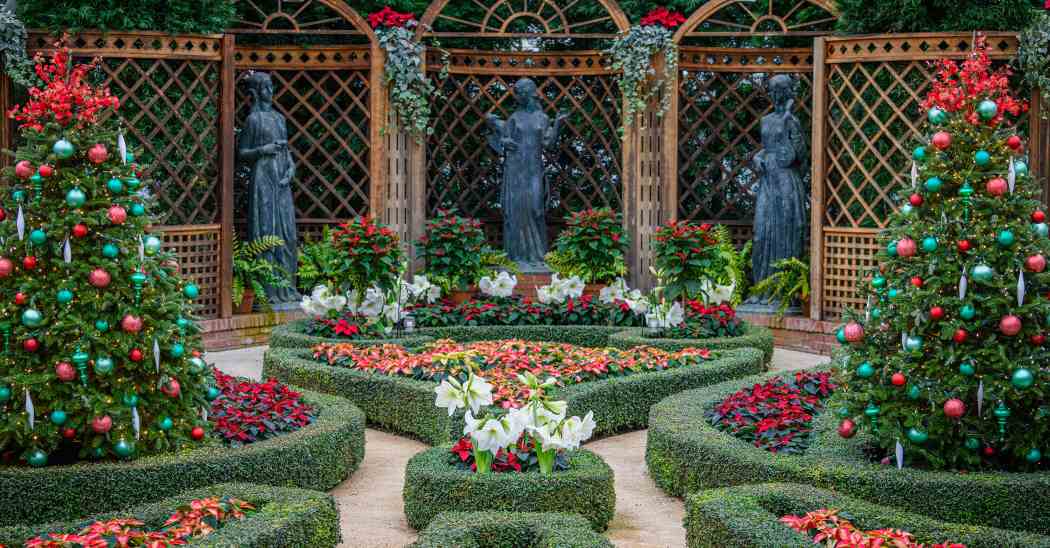 Winter Flower Show 2025: Phipps Holiday Magic