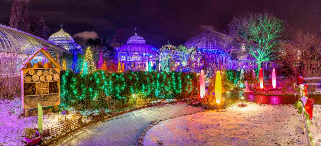 Winter Flower Show and Light Garden 2017: Holiday Magic! Winter Flower Show and Light Garden 2017: Holiday Magic!