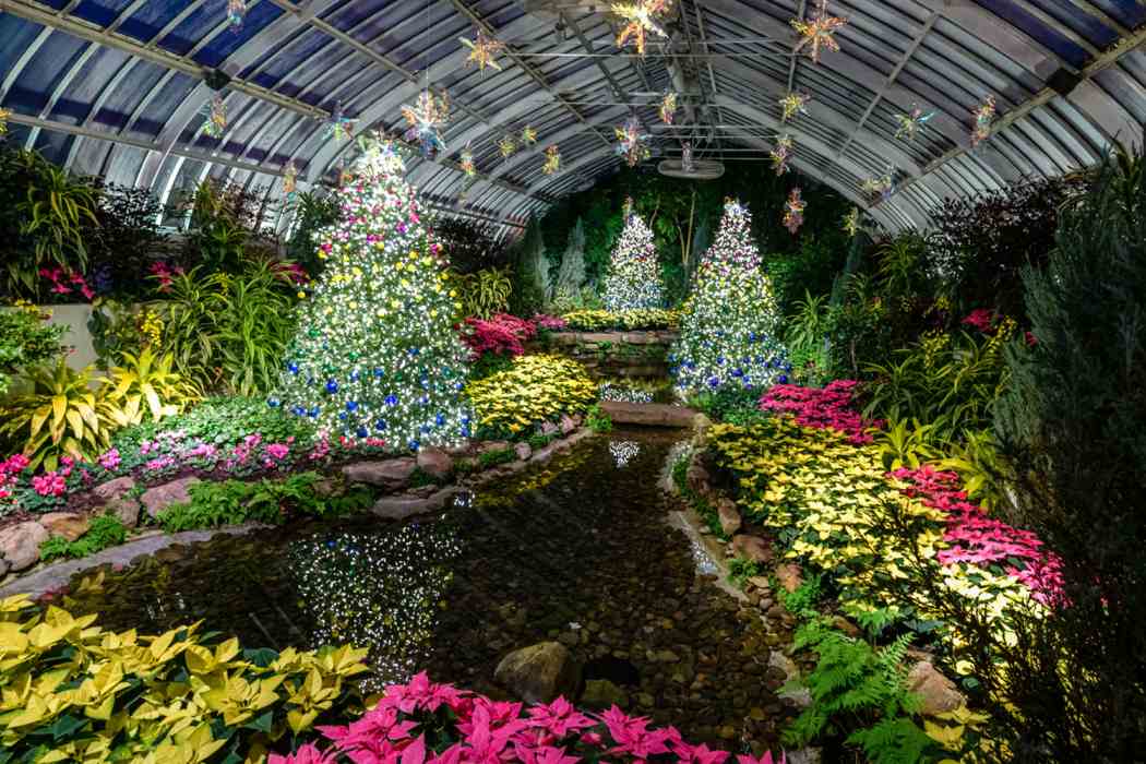 Winter Flower Show and Light Garden 2021: Holiday Magic! Sparkle and Shine