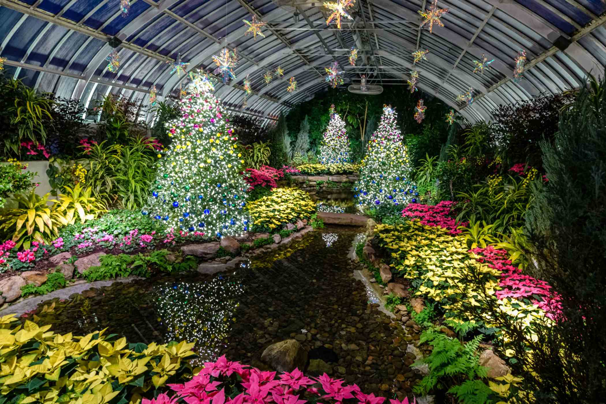 Winter Flower Show and Light Garden 2021 Holiday Magic! Sparkle and