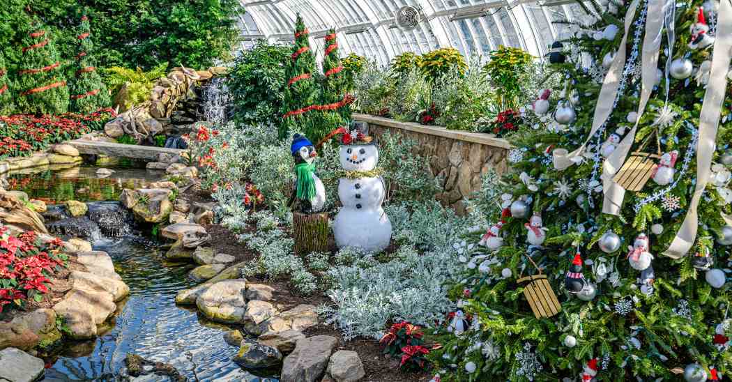 Winter Flower Show 2025: Phipps Holiday Magic