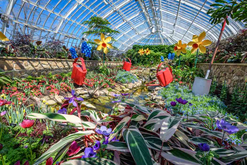 Spring Flower Show 2026: True Colors