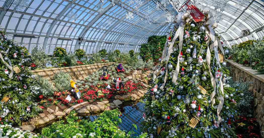 Winter Flower Show 2025: Phipps Holiday Magic