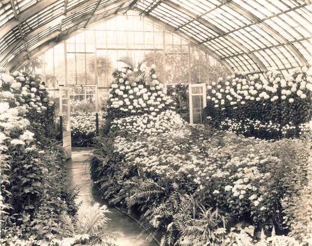 Fall Flower Show 1927